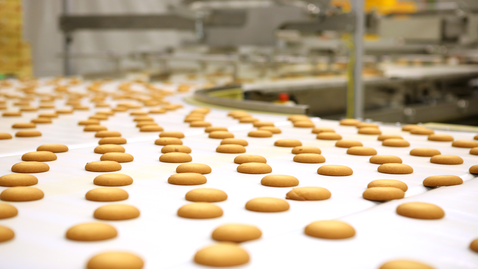 Bakery