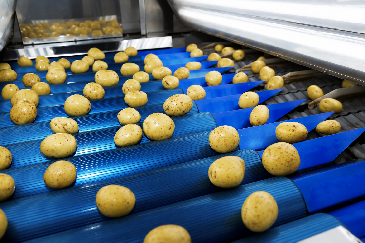 Fruit and vegetable processing
